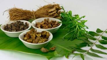 Role of Herbals in Ayurveda
