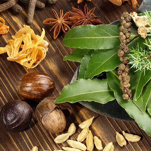 ayurveda-herbs-1.jpg