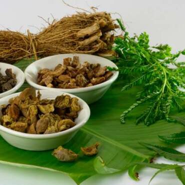 Role of Herbals in Ayurveda